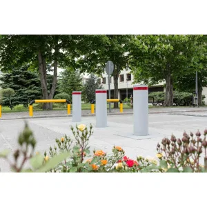 Блокиратор стационарный RBD 275S1000 CAME RBD-275S100-SRF4 (КАМЕ) Блокиратор стационарный RBD 275S1000 CAME RBD-275S100-SRF4 (КАМЕ)
